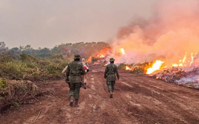 Forças Armadas reforçam combate a incêndios no Pantanal
