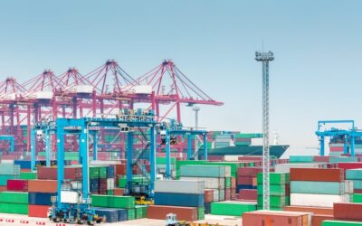 Secex lança consulta pública sobre nova regulamentação do licenciamento de importação