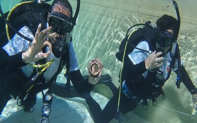 Militares concluem segundo estágio de mergulho a ar e resgate do ano em Niterói