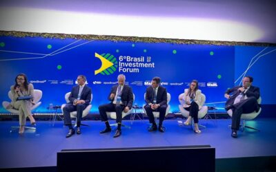 Metade do fluxo de investimento no Brasil é de energia renovável, diz secretária da Camex